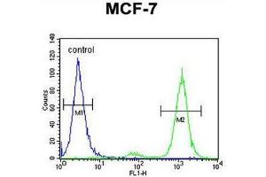 CNPY2 Antibody (C-term) flow cytometric analysis of MCF-7 cells (right histogram) compared to a negative control cell (left histogram). (CNPY2/MSAP 抗体  (C-Term))