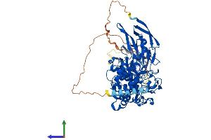 Protein Structure (PS) image for Glucuronic Acid Epimerase (GLCE) (AA 1-618) protein (His tag) (ABIN7561385)