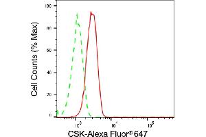 Flow cytometric analysis of C-terminal Src kinase expression in HT- cells using C-terminal Src kinase antibody (ABIN7797814), 1:2,000).