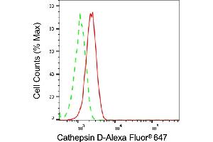 Flow cytometric analysis of Cathepsin D expression in HT- cells using Cathepsin D antibody (ABIN7797938), 1:2,000). (Recombinant Cathepsin D 抗体)