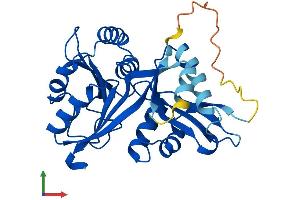 Protein Structure (PS) image for Glycine-N-Acyltransferase-Like 2 (GLYATL2) (AA 1-294) protein (His tag) (ABIN7547982)