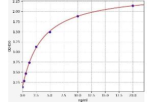 ALOX12 ELISA 试剂盒