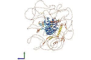 AlphaFold protein structure predicition of Mouse Recombinant Ambra1 Protein, UniprotID A2AH22