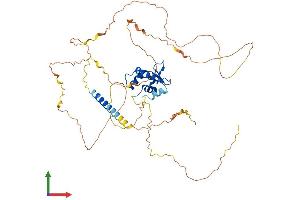 Protein Structure (PS) image for Ets Variant 1 (ETV1) (AA 1-477) protein (His tag) (ABIN7547459)