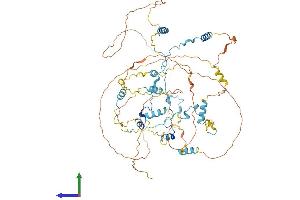 Protein Structure (PS) image for Calpastatin (CAST) (AA 1-708) protein (His tag) (ABIN7548470)