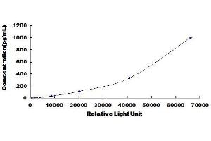 Typical standard curve