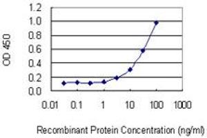 Detection limit for recombinant GST tagged SSSCA1 is 1 ng/ml as a capture antibody. (SSSCA1 抗体  (AA 1-199))