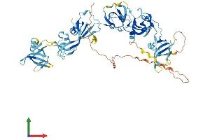 Protein Structure (PS) image for Chromosome 1 Open Reading Frame 38 (C1orf38) (AA 1-643) protein (His tag) (ABIN7544406)
