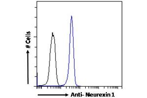 ABIN190771 Flow cytometric analysis of paraformaldehyde fixed Kelly cells (blue line), permeabilized with 0.