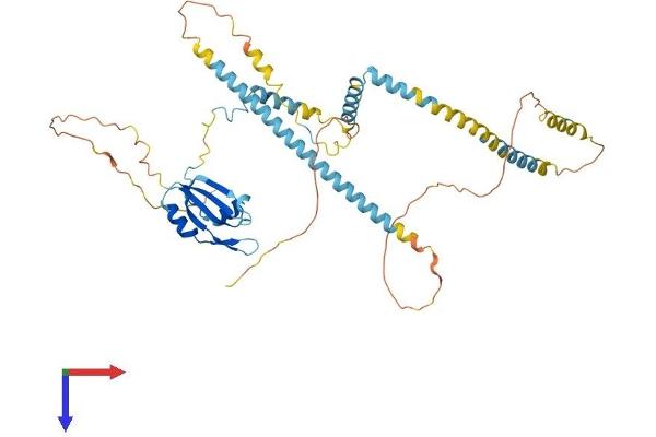 UPF3B Protein (AA 1-483) (His tag)
