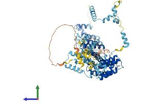 AlphaFold protein structure predicition of Human Recombinant SDAD1 Protein, UniprotID Q9NVU7 (SDAD1 Protein (AA 1-687) (His tag))