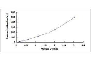 Typical standard curve (CA9 ELISA 试剂盒)