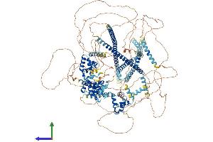 Protein Structure (PS) image for Cut-Like Homeobox 2 (CUX2) (AA 1-1486) protein (His tag) (ABIN7553607)