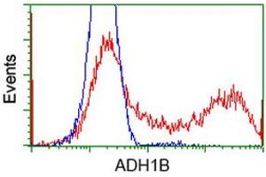 Flow Cytometry (FACS) image for anti-Alcohol Dehydrogenase 1B (Class I), beta Polypeptide (ADH1B) antibody (ABIN1496477) (ADH1B 抗体)