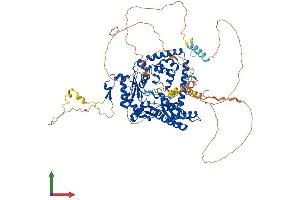 Protein Structure (PS) image for Polymerase (DNA Directed) kappa (POLK) (AA 1-870) protein (His tag) (ABIN7555054)