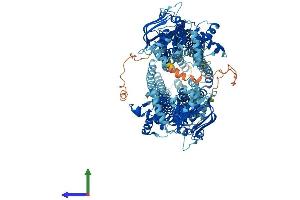 Protein Structure (PS) image for ATP-Binding Cassette, Sub-Family B (MDR/TAP), Member 5 (ABCB5) (AA 1-1255) protein (His tag) (ABIN7562069)