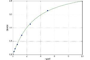 Receptor-Interacting serine-threonine Kinase 3 (RIPK3) ELISA Kit