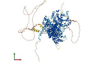Protein Structure (PS) image for DNA Helicase HEL308 (HEL308) (AA 1-1069) protein (His tag) (ABIN7563655)