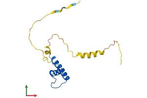 Protein Structure (PS) image for Inhibitor of DNA Binding 2 (Id2) (AA 1-134) protein (His tag) (ABIN7563221)