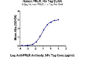 ELISA image for Prolactin Receptor (PRLR) (AA 25-234) protein (His tag) (ABIN7275468)