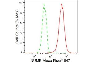 Flow cytometric analysis of NUMB expression in HT- cells using NUMB antibody (ABIN7799692), 1:2,000). (Recombinant NUMB 抗体)