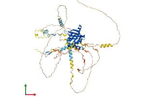 Protein Structure (PS) image for Numb Homolog (Drosophila)-Like (NUMBL) (AA 1-604) protein (His tag) (ABIN7562229)