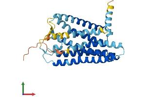 Protein Structure (PS) image for Olfactory Receptor, Family 13, Subfamily C, Member 8 (OR13C8) (AA 1-320) protein (His tag) (ABIN7549976)