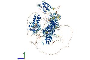 AlphaFold protein structure predicition of Mouse Recombinant Pbrm1 Protein, UniprotID Q8BSQ9