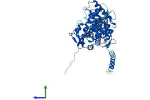 Protein Structure (PS) image for Tryptophan Hydroxylase 1 (TPH1) (AA 1-447) protein (His tag) (ABIN7562915)