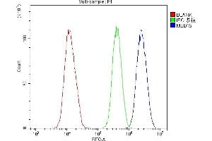Flow Cytometry analysis of U20S cells using anti-MED15 antibody (ABIN5519035). (MED15 抗体  (AA 1-285))