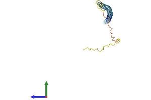 Protein Structure (PS) image for Synuclein, alpha (SNCA) (AA 1-140) protein (His tag) (ABIN7544253)