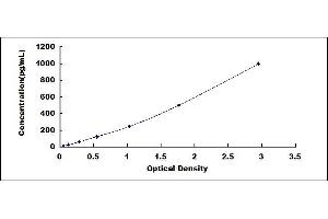 Typical standard curve (LGALS8 ELISA 试剂盒)