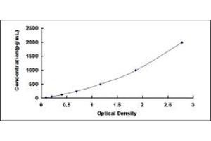 Typical standard curve (OGG1 ELISA 试剂盒)