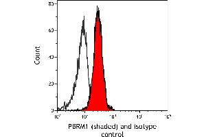 anti-Polybromo 1 (PBRM1) (AA 1-293) antibody