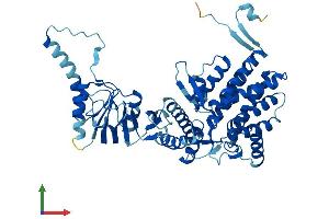 Protein Structure (PS) image for T-Complex Protein 1 Subunit zeta-2-Like (CCT6B) (AA 1-530) protein (His tag) (ABIN7544273)