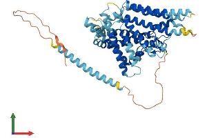 AlphaFold protein structure predicition of Mouse Recombinant Soat2 Protein, UniprotID O88908