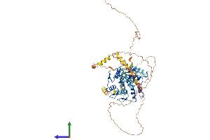Protein Structure (PS) image for Zinc Finger with KRAB and SCAN Domains 1 (ZKSCAN1) (AA 1-563) protein (His tag) (ABIN7545779)