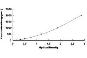 CD226 (CD226) ELISA Kit