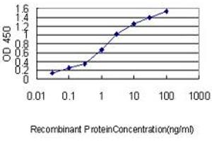 Detection limit for recombinant GST tagged NKX2-5 is approximately 0. (NK2 Homeobox 5 抗体  (AA 1-324))