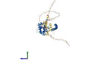 Protein Structure (PS) image for RUN Domain Containing 3B (RUNDC3B) (AA 1-473) protein (His tag) (ABIN7551587)