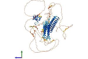 Protein Structure (PS) image for Breast Cancer Anti-Estrogen Resistance 1 (BCAR1) (AA 1-874) protein (His tag) (ABIN7563900)
