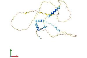 AlphaFold protein structure predicition of Human Recombinant CCDC117 Protein, UniprotID Q8IWD4