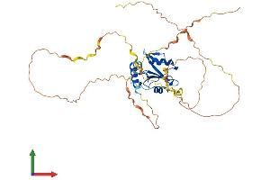 Protein Structure (PS) image for SH2 Domain Protein 2A (SH2D2A) (AA 1-389) protein (His tag) (ABIN7545998)