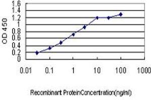 ELISA image for anti-Cleavage and Polyadenylation Specific Factor 3, 73kDa (CPSF3) (AA 585-684) antibody (ABIN565650)