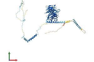 Protein Structure (PS) image for Dynein, Axonemal, Intermediate Chain 2 (DNAI2) (AA 1-623) protein (His tag) (ABIN7561889)