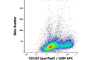 Flow cytometry surface staining pattern of human PHA stimulated peripheral blood mononuclear cells stained using anti-human CD103 (Ber-ACT8) purified antibody (concentration in sample 3 μg/mL, GAM APC). (CD103 抗体)