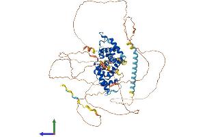 Protein Structure (PS) image for Cyclin T1 (CCNT1) (AA 1-726) protein (His tag) (ABIN7552985)
