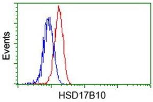 Image no. 8 for anti-Hydroxysteroid (17-Beta) Dehydrogenase 10 (HSD17B10) antibody (ABIN1498725)
