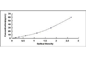 Typical standard curve (METRNL ELISA 试剂盒)