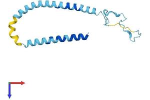 Protein Structure (PS) image for Synuclein, alpha (SNCA) (AA 1-140) protein (His tag) (ABIN7562469)